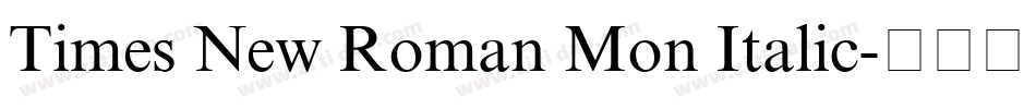 Times New Roman Mon Italic字体转换